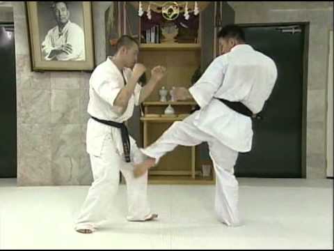 Il Karate Kyokushin