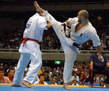 International Karate Organization" (IKO)