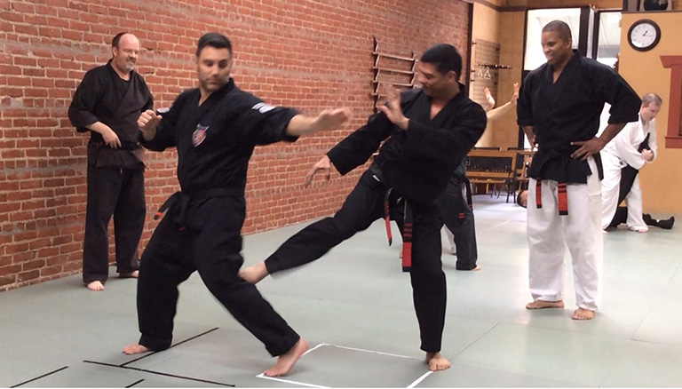 American Kenpo Karate Classes, Best Martial Arts