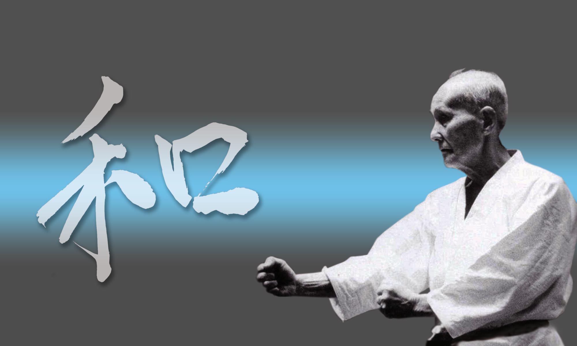 Wado-ryu Karate – Wado Waza Karate