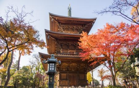 Gotokuji Temple, Tokyo | Ticket Price | Timings | Address: TripHobo