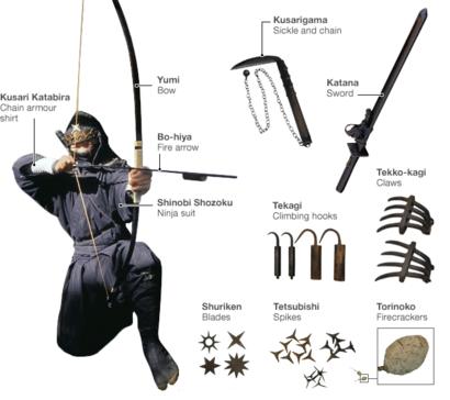 Japan's ninjas heading for extinction - BBC News