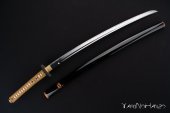 Ryuzoji Katana Limited Edition