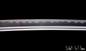 Miyamoto Musashi Iaito 11th Anniversary XL