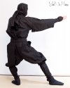 abito ninja