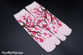 calzini giapponesi tabi calze infradito