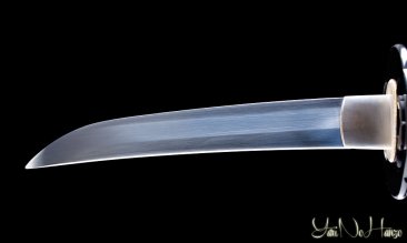 Shinobi Kodachi | Spada Samurai | Spada giapponese